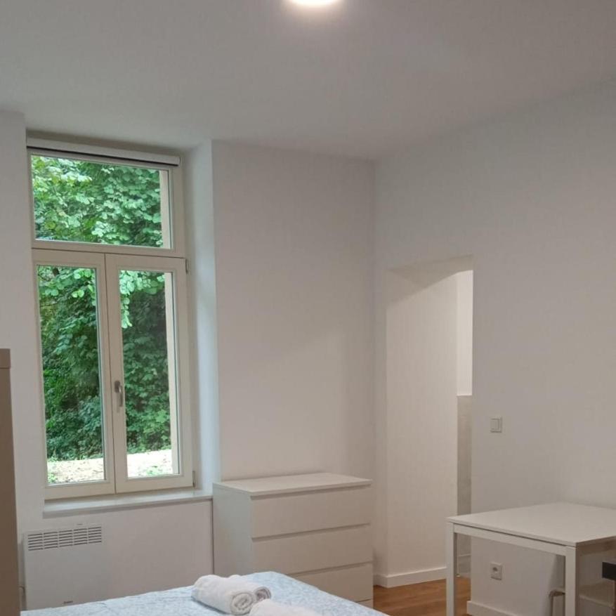 Studio Near To The City Centre Λουξεμβούργο Εξωτερικό φωτογραφία