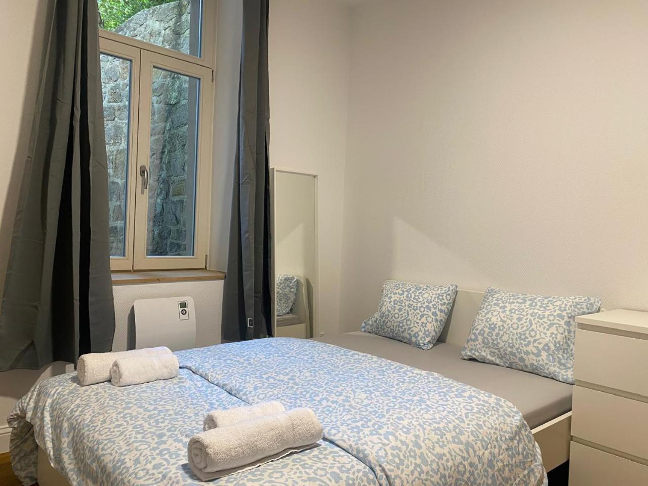 Studio Near To The City Centre Λουξεμβούργο Εξωτερικό φωτογραφία